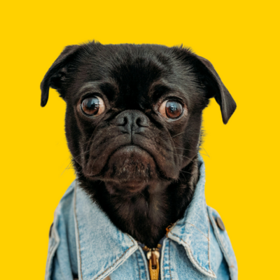 Honden aanbod voederbak met naam Honden - happy woef