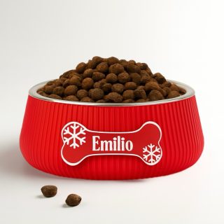 Bowl hond - Beentje christmas naam - Medium large