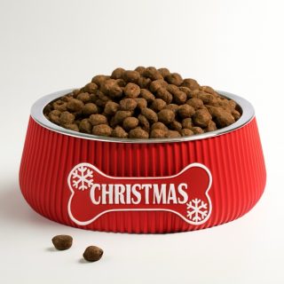 Bowl hond - Beentje christmas - Large medium